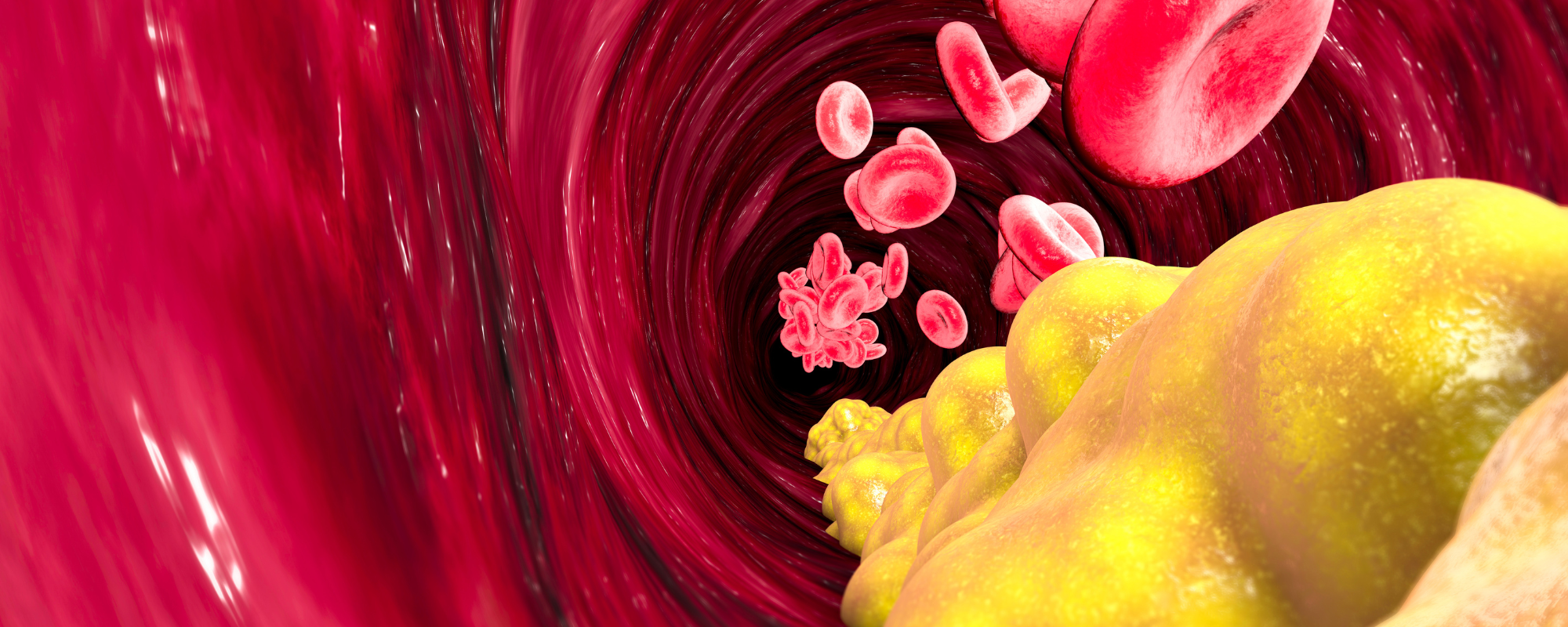 A Blood Lipid traveling through a blood vessel